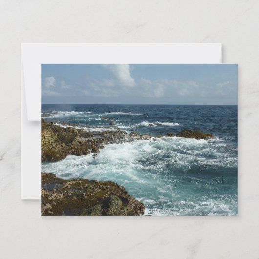 アルバの岩の多い海岸と青い海 (正面)