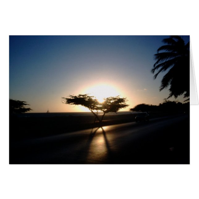 アルバの日没 (正面横)