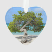 アルバのDivi単独のDiviの木 オーナメント (裏面)