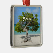 アルバのDivi単独のDiviの木 メタルオーナメント (右)