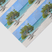 アルバのDivi単独のDiviの木 薄葉紙 (詳細)