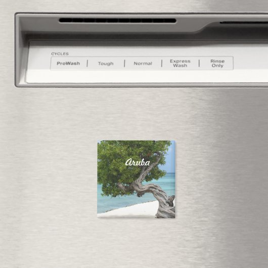 アルバのDivi Divi Tree マグネット (インサイチュ (食洗機))