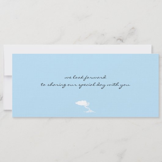 アルバへの搭乗券結婚式招待状 招待状 (裏面)