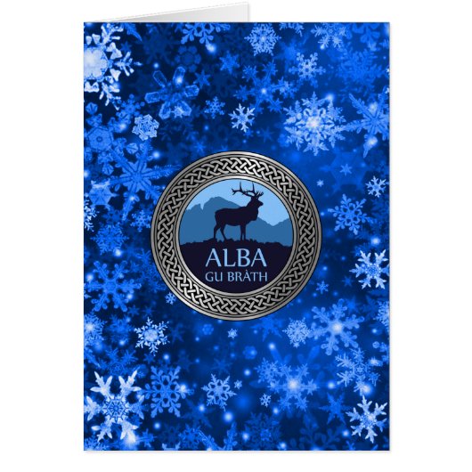 アルバグブラスノット (正面)