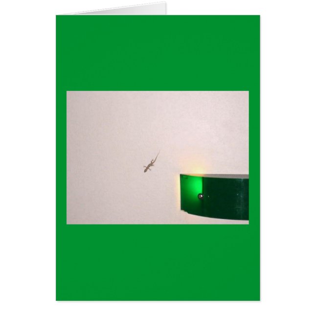 アルバゲッコ (正面)