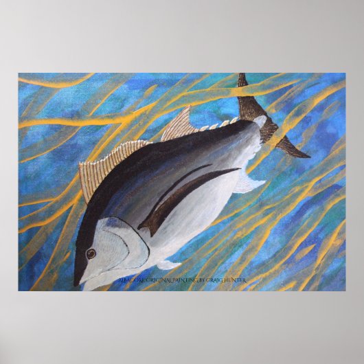 アルバコア ポスター (正面)