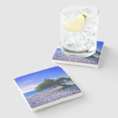 アルバストーンコースター ストーンコースター (横)