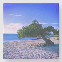 アルバストーンコースター