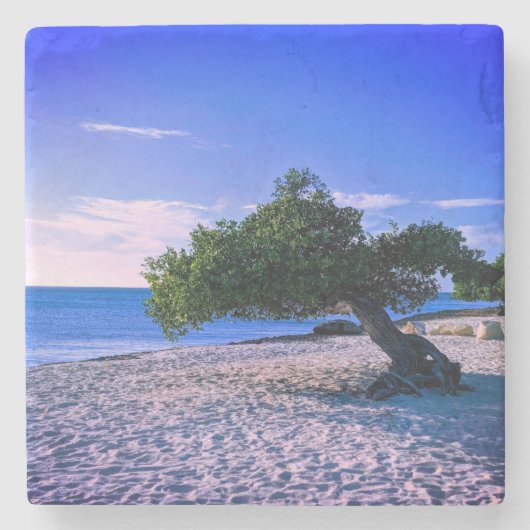 アルバストーンコースター ストーンコースター (正面)