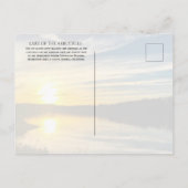 アルバックル湖、チカソー国立認識地域 ポストカード (裏面)