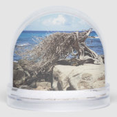 アルバディヴィディヴィツリーと海 (正面)