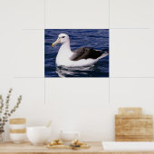 アルバトロス ポスター (キッチン)