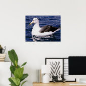 アルバトロス ポスター (ホームオフィス)
