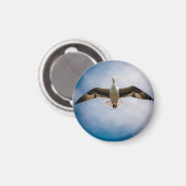 アルバトロス マグネット (正面/裏面)