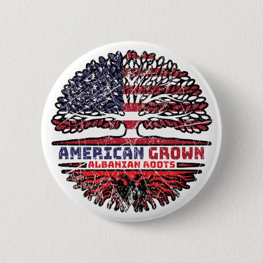 アルバニアアルバニアUSアメリカ合衆国統一された州 缶バッジ (正面)