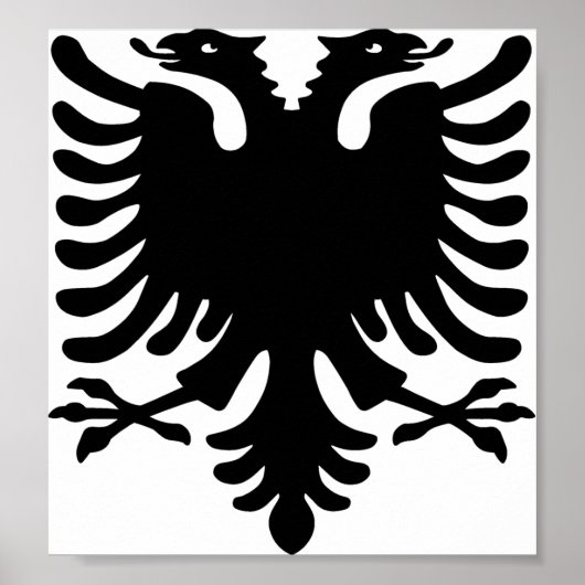 アルバニアイーグル ポスター (正面)