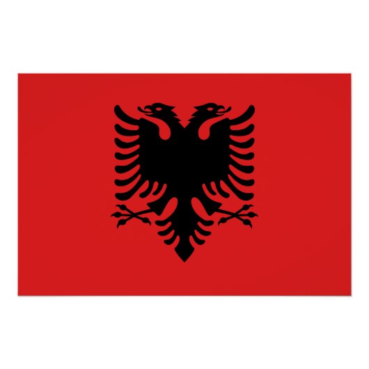 アルバニア国旗で愛国的な壁のポスター ポスター (正面)