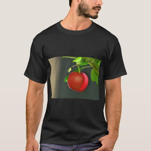 アルバニア国旗の国ティーデザイン Tシャツ (正面)