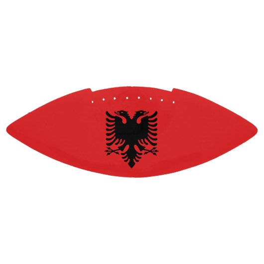 アルバニア国旗を持つアメリカンフットボール アメリカンフットボール (パネル)