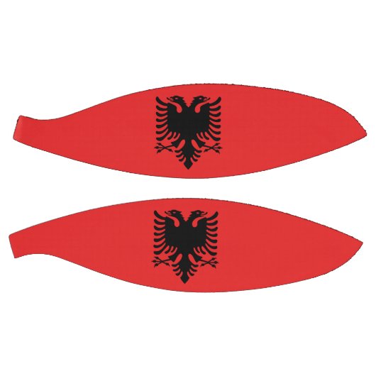 アルバニア国旗を持つフルサイズバスケットボール バスケットボール (パネル)