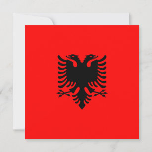アルバニア国旗 カード