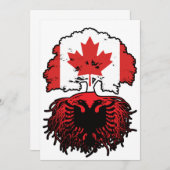 アルバニア アルバニア系カナダ人 カナダ ツリー ルーツ 旗 招待状 (正面/裏面)