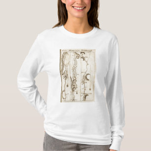 アルバニーからNewborough 32への Tシャツ