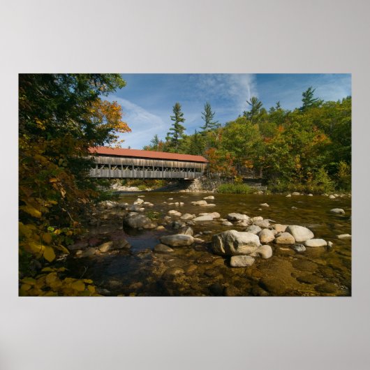 アルバニーカバーブリッジNHプリント ポスター (正面)