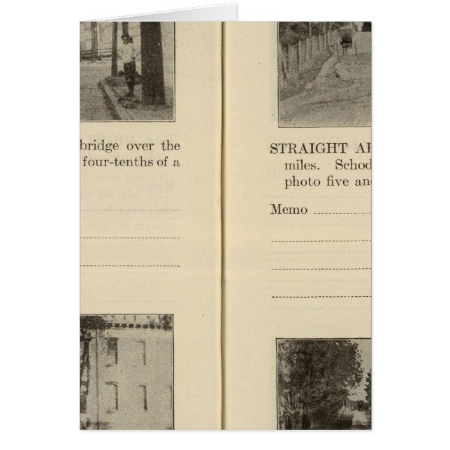 アルバニーレンセラーイーストグリーンブッシュ (正面)