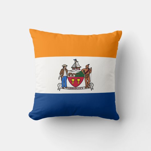 アルバニー国旗（ニューヨーク） クッション (正面)