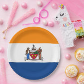 アルバニー国旗（ニューヨーク） ペーパープレート (パーティー)