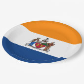 アルバニー国旗（ニューヨーク） ペーパープレート (アングル)