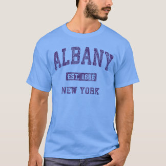 アルバニー ニューヨーク ヴィンテージ アスレチック スポーツ デザイン 友 Tシャツ