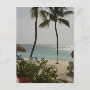 アルバベビービーチ ポストカード