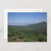 アルバミンチで表示 ポストカード (正面/裏面)