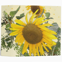 アルバムバインダー