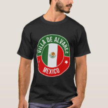 アルバレス邸宅 メキシコシティ