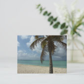 アルバンビーチI美しい自然シーン カード (スタンド正面)