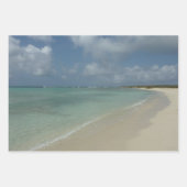 アルバンビーチI美しい自然シーン ラッピングペーパーシート (正面3)