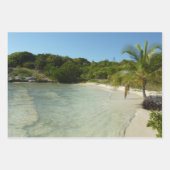 アルバンビーチI美しい自然シーン ラッピングペーパーシート (正面3)