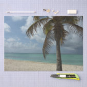 アルバンビーチI美しい自然シーン 薄葉紙 (クラフト)