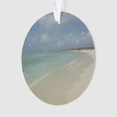 アルバンビーチII美しい自然シーン オーナメント (正面)