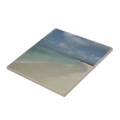 アルバンビーチII美しい自然シーン タイル (側面)