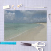 アルバンビーチII美しい自然シーン 薄葉紙 (クラフト)