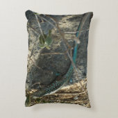 アルバンホイップテールリザード熱帯動物写真 アクセントクッション (裏面(縦))