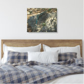 アルバンホイップテールリザード熱帯動物写真 キャンバスプリント (インサイチュ (寝室))