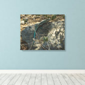 アルバンホイップテールリザード熱帯動物写真 キャンバスプリント (インサイチュ (ウッドフロア))