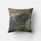 アルバンホイップテールリザード熱帯動物写真 クッション (裏面)