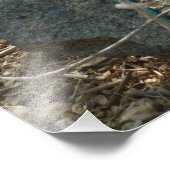 アルバンホイップテールリザード熱帯動物写真 フォトプリント (角)