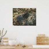 アルバンホイップテールリザード熱帯動物写真 ポスター (キッチン)